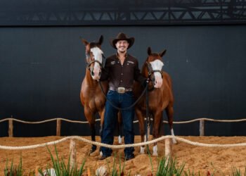 Leilão organizado por Hugo, dupla com Guilherme, movimenta mais de R$ 10 milhões no Mato Grosso